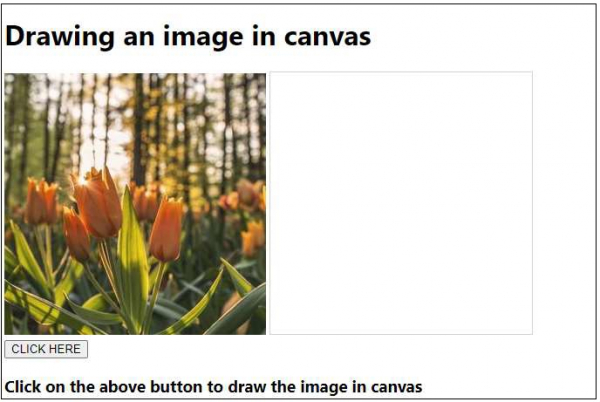 drawing-an-image-in-canvas-using-in-javascript-coder-discovery